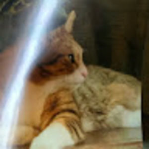 Meet your Posher, Richard